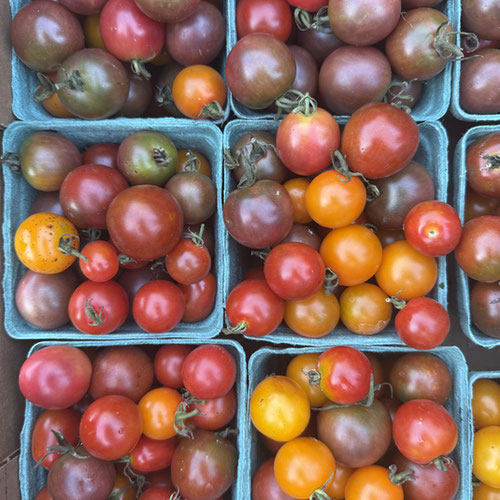 Tomatoes- cherry tomatoes from Henry’s Family Farm — Huntsville Food Hub