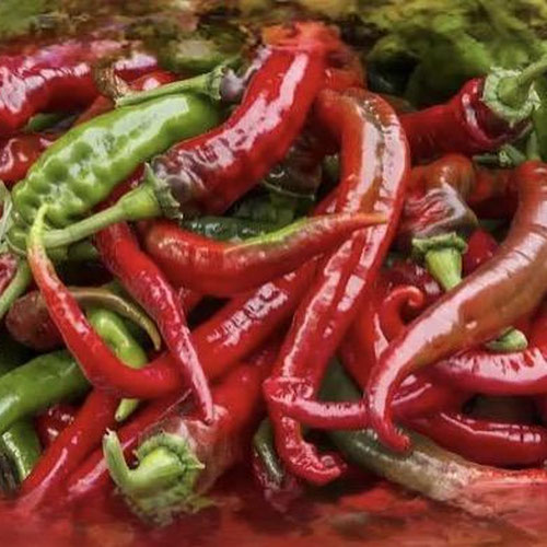 Pepper-spicy cowhorn from Henry’s Family Farm — Huntsville Food Hub