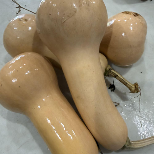 Butternut squash from Henry’s Family Farm — Huntsville Food Hub