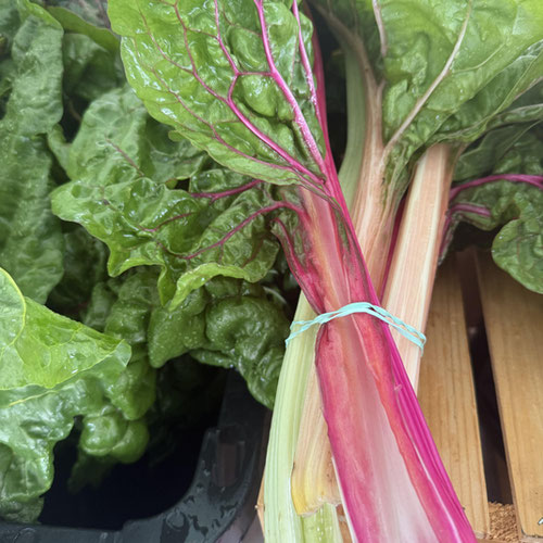 Swiss chard from Henry’s Family Farm — Huntsville Food Hub