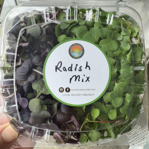 Radish Mix Microgreens | Grown in organic, nutrient-rich soil