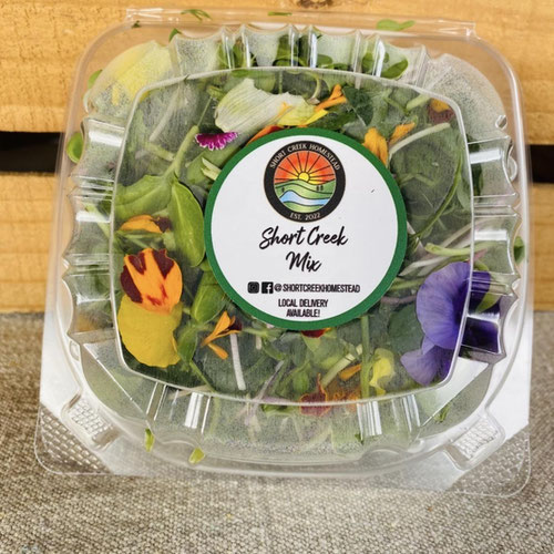 Short Creek Mix - Microgreen Salad Blend |Grown in organic, nutrient-rich soil