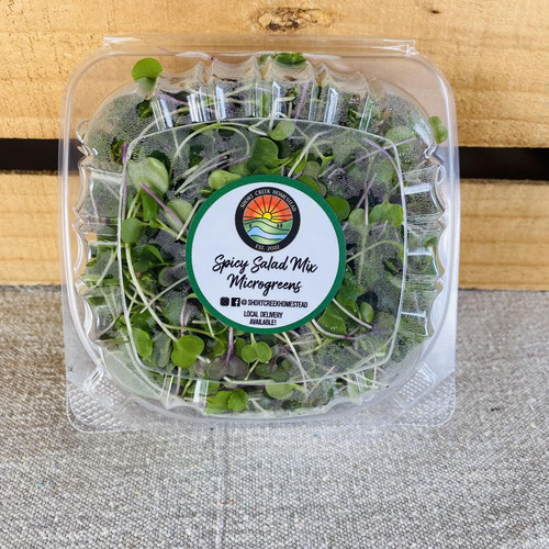 Spicy Salad Mix Microgreens | Grown in organic, nutrient-rich soil