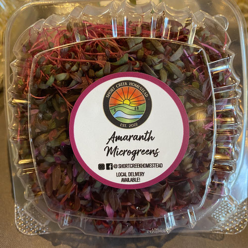 Amaranth Microgreens from Short Creek Homestead — Huntsville Food Hub