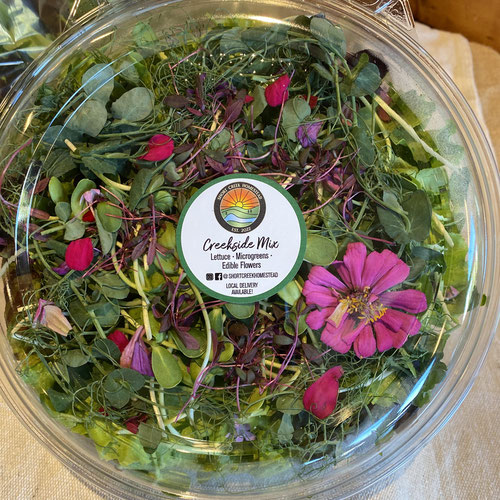 Creek Side Salad Mix | Large from Short Creek Homestead — Huntsville Food Hub