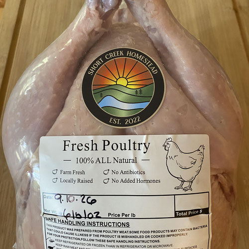 Pasture Raised Whole Chicken | 6 to 7 lb from Short Creek Homestead — Huntsville Food Hub