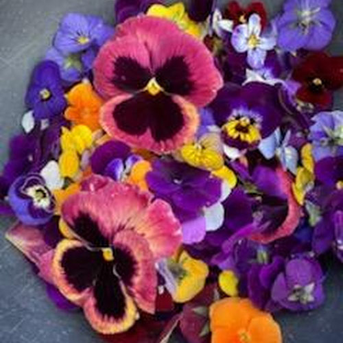 Edible Flowers (Seasonal Mix)