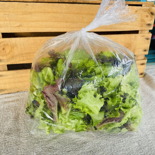 Short Creek Homestead Gourmet Lettuce Mix | Naturally Grown