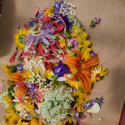 Seasonal edible flower mix