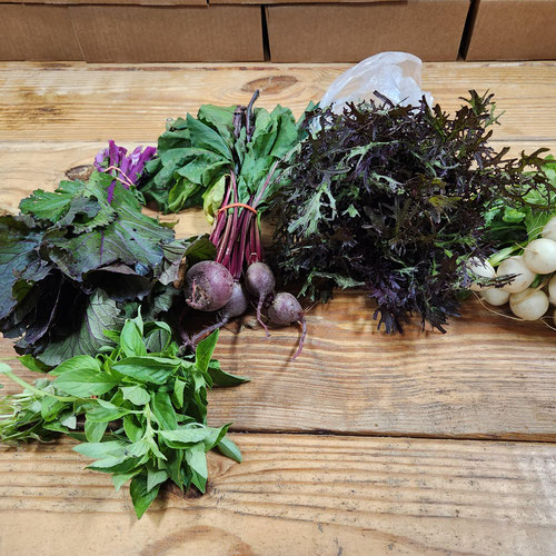 🥕 4G Farms – Single Weekly Harvest Bag from 4G Farms — Huntsville Food Hub