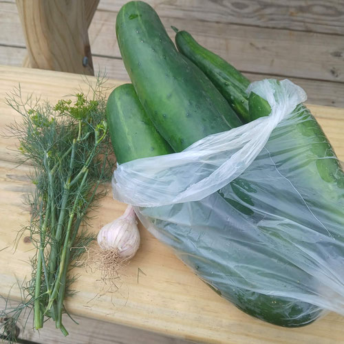 Pickling Pack — Makes 2 Quart Jars 🥒 from 4G Farms — Huntsville Food Hub