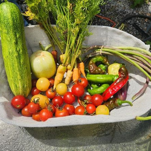 Crudite snacking kit from 4G Farms — Huntsville Food Hub