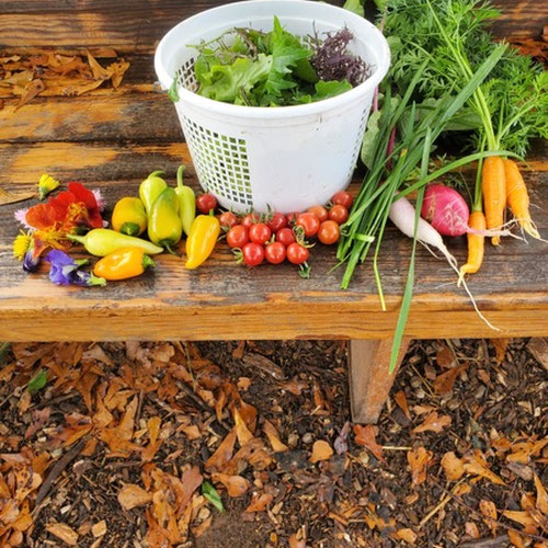 salad kit