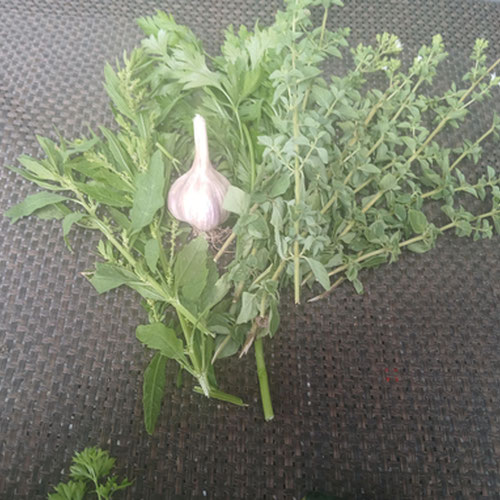 Mexican Herb kit from 4G Farms — Huntsville Food Hub