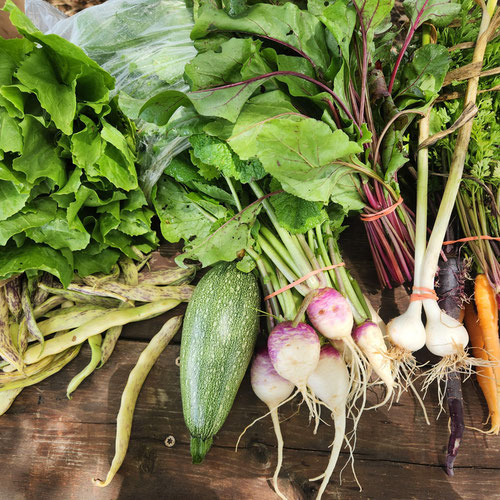 🥕 4G Farms – Family Weekly Harvest Bag from 4G Farms — Huntsville Food Hub