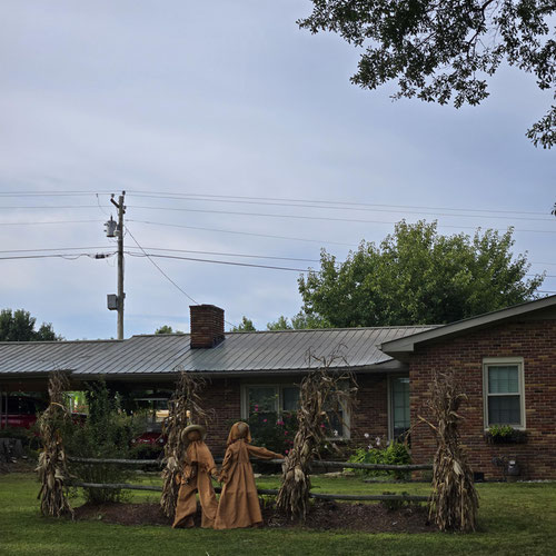 Decorative Corn Stalks from 4G Farms — Huntsville Food Hub