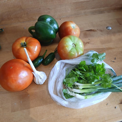Fresh Farm Salsa Kit from 4G Farms — Huntsville Food Hub