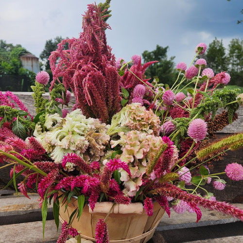 Farmhouse Dried Flower Basket from 4G Farms — Huntsville Food Hub