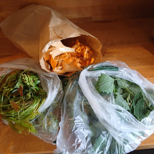 Wild Forager’s Dinner Kit from 4G Farms — Huntsville Food Hub