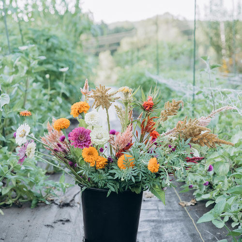 Small Bloom Bucket