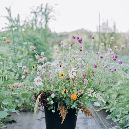 Large Bloom Bucket
