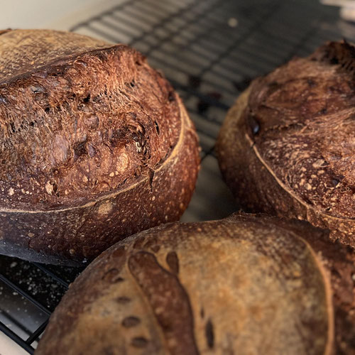 Double Chocolate Chunk Sourdough
