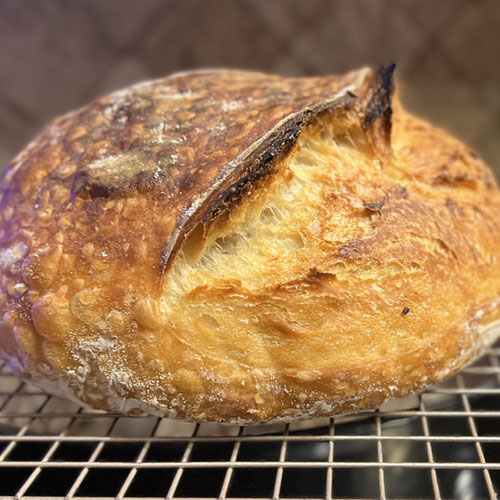 Artisan White Sourdough