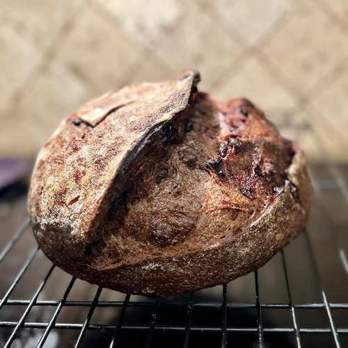 Double Chocolate Cherry Sourdough