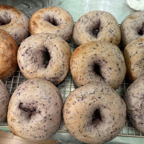 Blueberry Sourdough Bagels