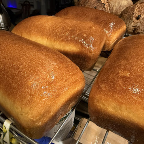 Sourdough Sandwich Loaf