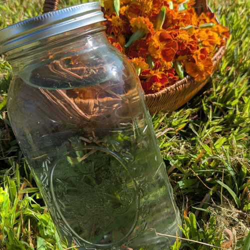 Floral Jelly - Marigold from Harman Ridge Homestead — Huntsville Food Hub
