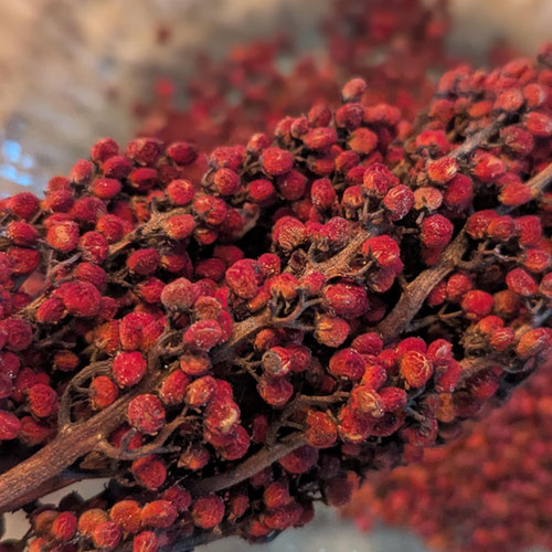 Ground Sumac Berries