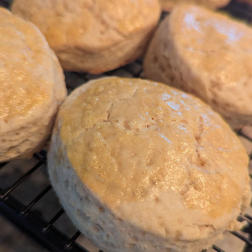 Cream Scones from Harman Ridge Homestead — Huntsville Food Hub