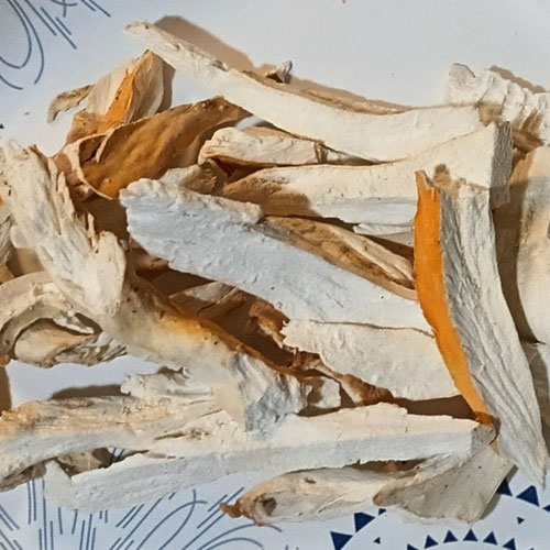 Chicken of the Woods Mushroom (Foraged) from Mama Kat's — Huntsville Food Hub