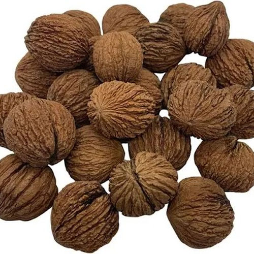 Black Walnuts Cracked (Foraged)