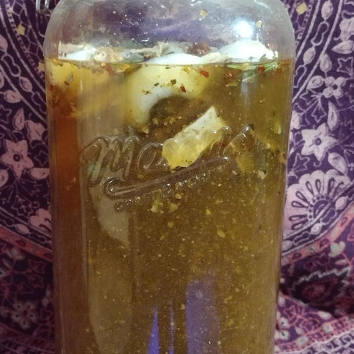 Fire Cider (Regular & Vegan)