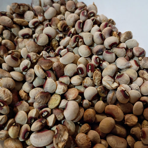 Purple Hull Peas (4 oz dried)