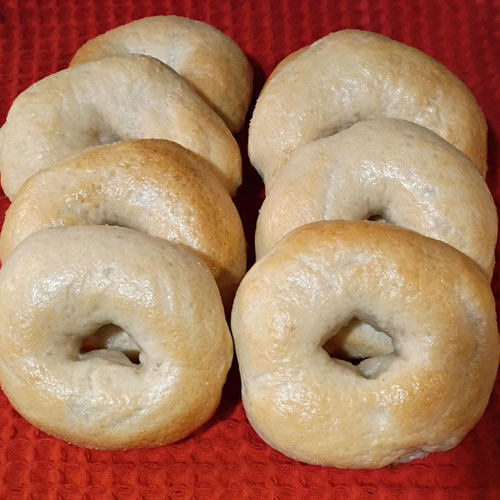 Plain Bagels