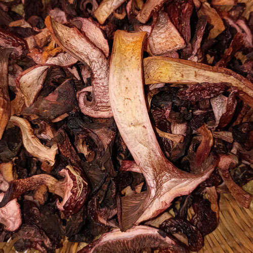 Wild Wine Cap Mushrooms from Mama Kat's — Huntsville Food Hub