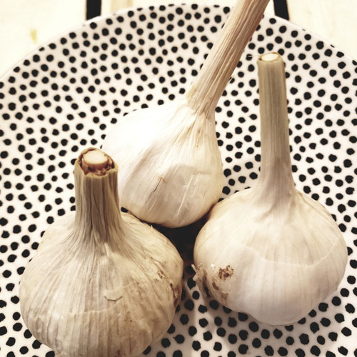 Garlic - Sligo Farm from Sligo Farm — Huntsville Food Hub