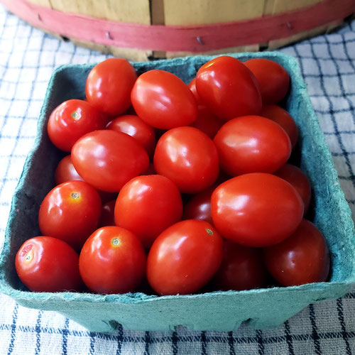 Grape Tomatoes from Sligo Farm — Huntsville Food Hub