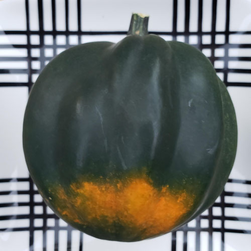 Acorn  Squash from Sligo Farm — Huntsville Food Hub