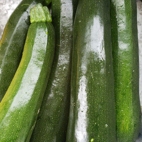 Zucchini Bag - Sligo Farm from Sligo Farm — Huntsville Food Hub