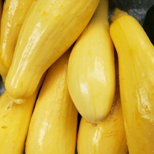 Yellow Squash Bag - Sligo Farm from Sligo Farm — Huntsville Food Hub