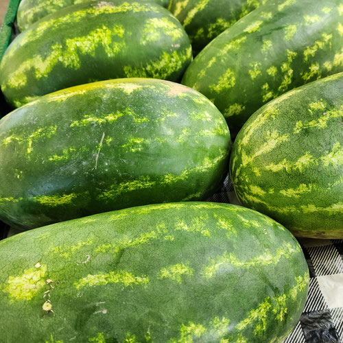 The Sangria Watermelon from Sligo Farm — Huntsville Food Hub