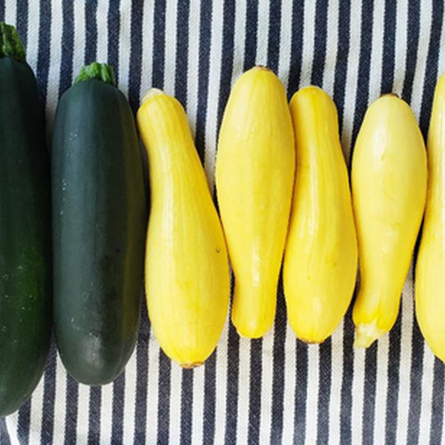 Squash and Zucchini Pack from Sligo Farm — Huntsville Food Hub
