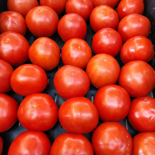 Tomato Bag - Sligo Farm from Sligo Farm — Huntsville Food Hub