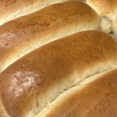 Sourdough Brat/Dog Buns