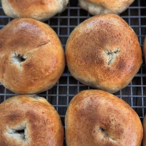 Sourdough Plain Bagels