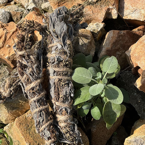 “Clear the air”: 8-9 in. smudge sticks from Atlanta’s Pretty Petals — Huntsville Food Hub